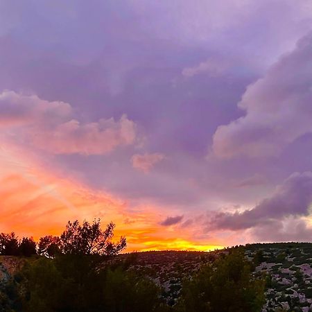 Aquarius In Cassis, Chambres D'Hotes Εξωτερικό φωτογραφία
